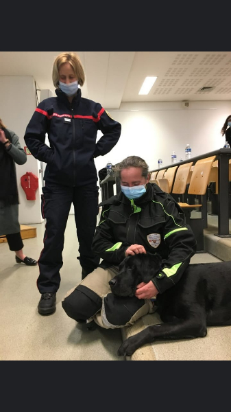 LOL chien d'assistance 3